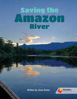 Saving the Amazon River