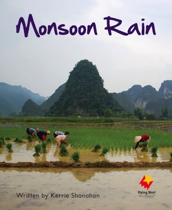 Monsoon Rain