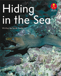 Hiding in the Sea