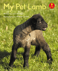 My Pet Lamb