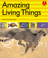 Amazing Living Things