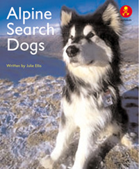 Alpine Search Dogs