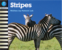 Stripes