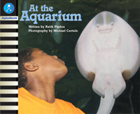 At the Aquarium