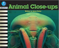 Animal Close-ups