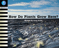 How Do Plants Grow Here?