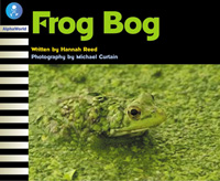 Frog Bog