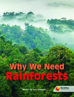 Why We Need Rainforests