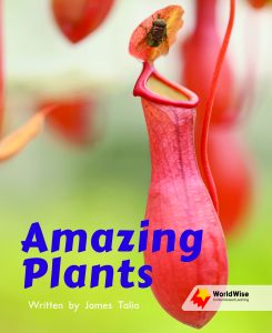 Amazing Plants