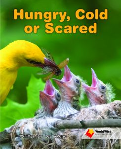 Hungry, Cold or Scared
