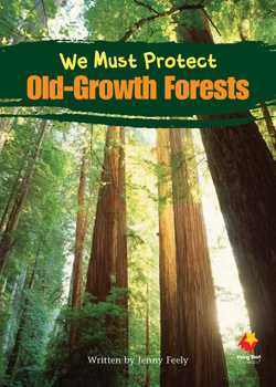 We Must Protect Old Growth Forests