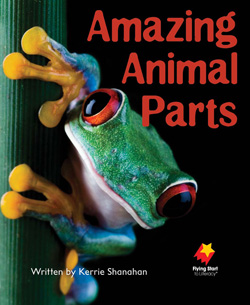 Amazing Animal Parts