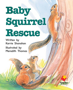 Baby Squirrel Rescue